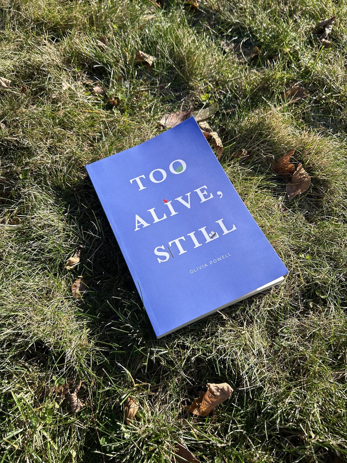Paperback copy of Too Alive, Still by Olivia Powell, resting in grass